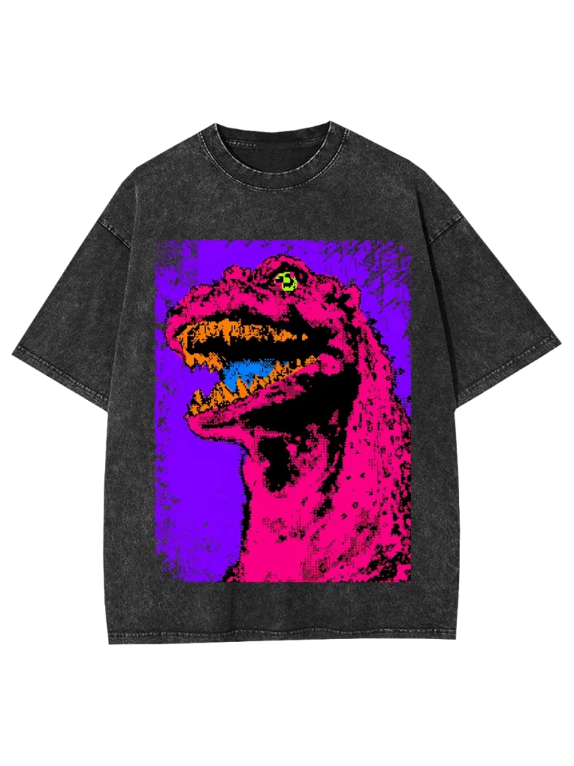 Neon Roar Washed Tshirt